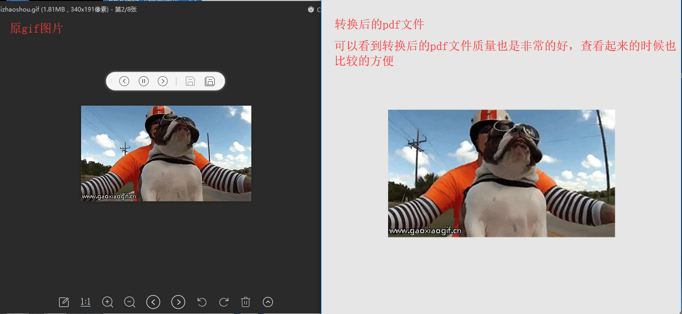将gif转换成pdf文件的方法图5
